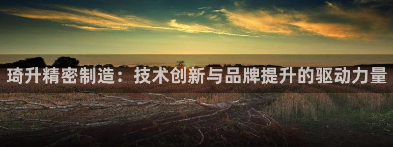 彩神V集团公司：琦升精密制造：技术创新与品牌提升的驱动力量