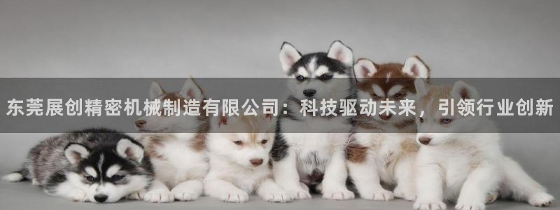 彩神ⅴll用户登录：东莞展创精密机械制造有限公司：科技驱动未来，引领行业创新