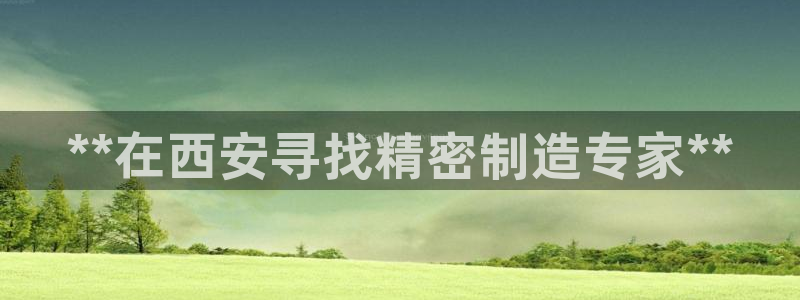 彩神是正规平台吗知乎：**在西安寻找精密制造专家**