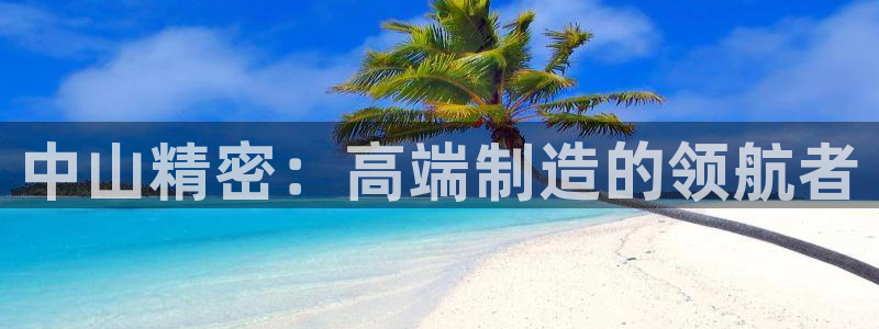 彩神v破解版：中山精密：高端制造的领航者