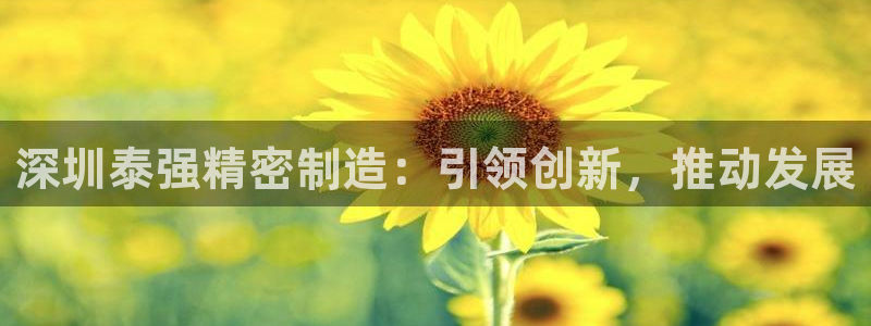 下载彩神通关注码：深圳泰强精密制造：引领创新，推动发展