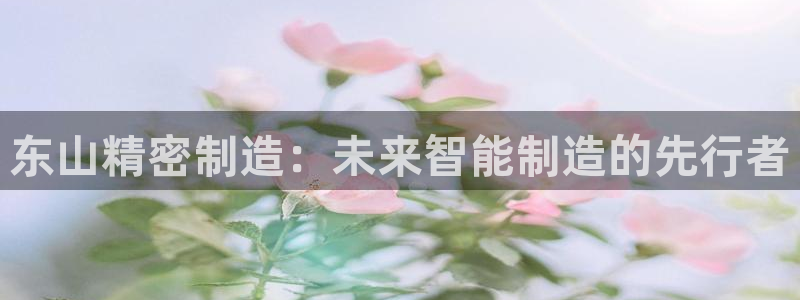 彩神vl购彩大厅：东山精密制造：未来智能制造的先行者