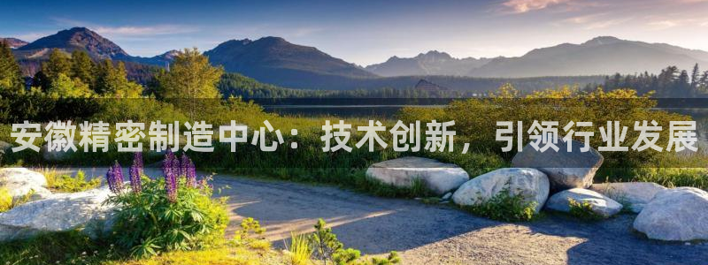 彩神广告有限公司：安徽精密制造中心：技术创新，引领行业发展