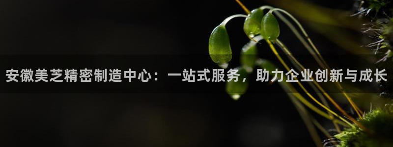 彩神v：安徽美芝精密制造中心：一站式服务，助力企业创新与成长
