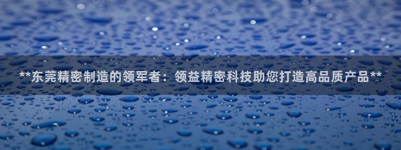 彩神VII官方版：**东莞精密制造的领军者：领益精密科技助您打造高品质产品**