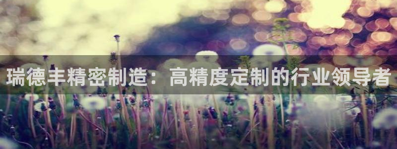 彩神iv能赚钱吗：瑞德丰精密制造：高精度定制的行业领导者