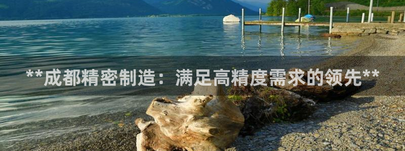 彩神邀请码:00-00-3267：**成都精密制造：满足高精度需求的领先**