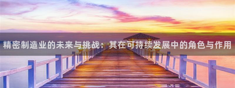 新版彩神v8登录不了：精密制造业的未来与挑战：其在可持续发展中的角色与作用