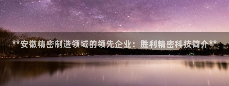 大发彩神争：**安徽精密制造领域的领先企业：胜利精密科技简介**