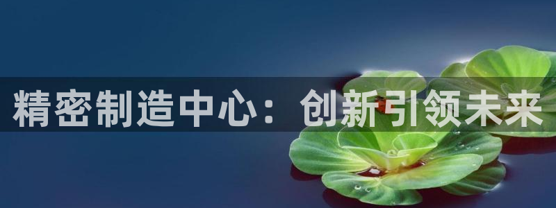 彩神Vll购彩大厅：精密制造中心：创新引领未来