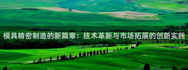 彩神大发云：模具精密制造的新篇章：技术革新与市场拓展的创新实践