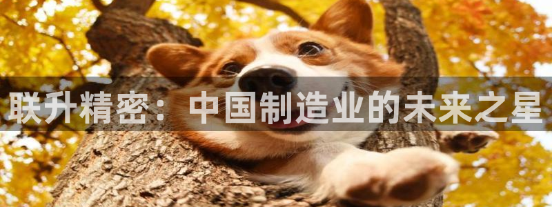 彩神平台是真的吗：联